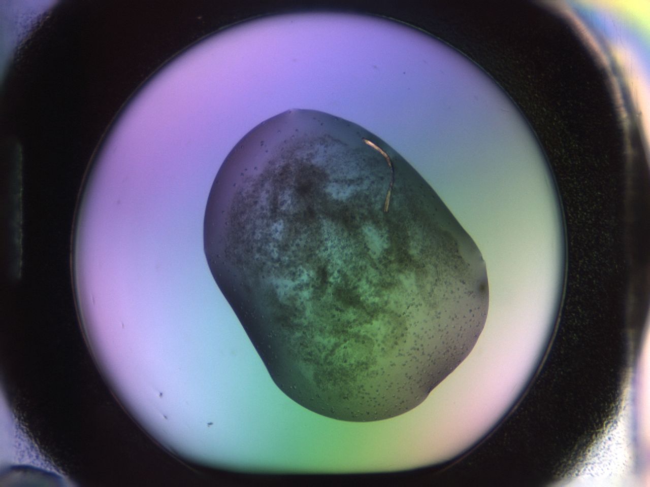02g2_H12_ImagerDefaults_7.jpg