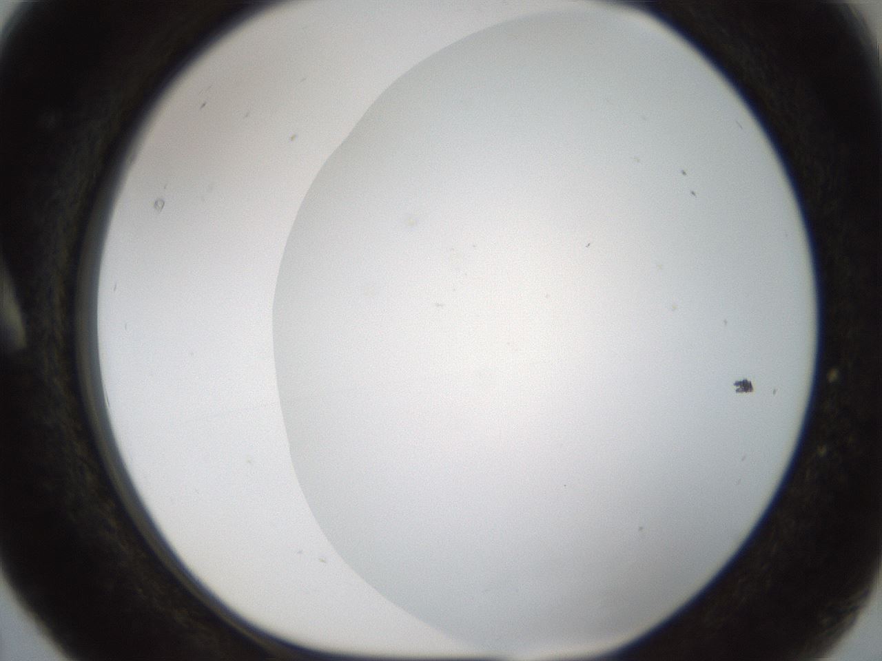 folderID213_plateID1213_batchID3692_wellNum5_profileID1_d1_r68968_ef.jpg