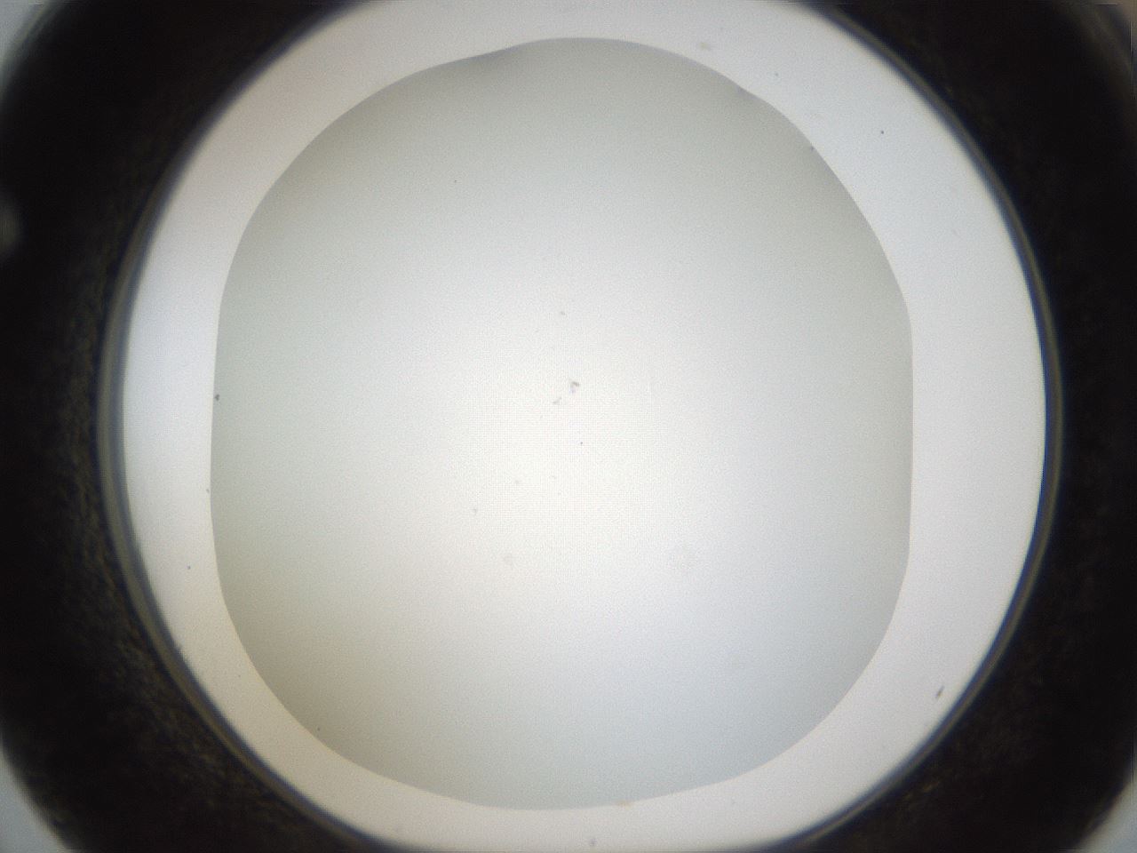 folderID213_plateID1213_batchID3692_wellNum62_profileID1_d1_r69082_ef.jpg