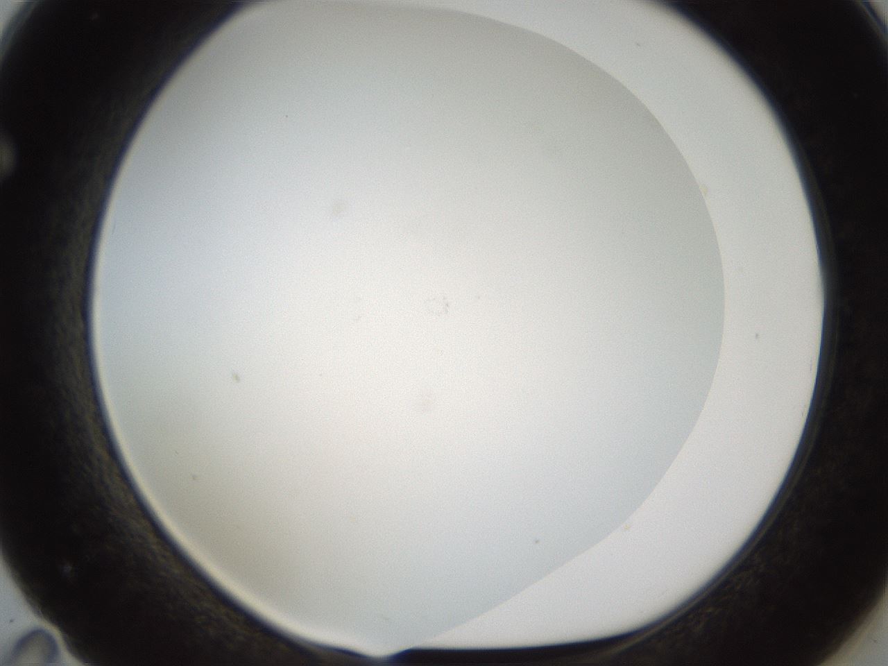 folderID213_plateID1213_batchID3692_wellNum71_profileID1_d1_r69100_ef.jpg