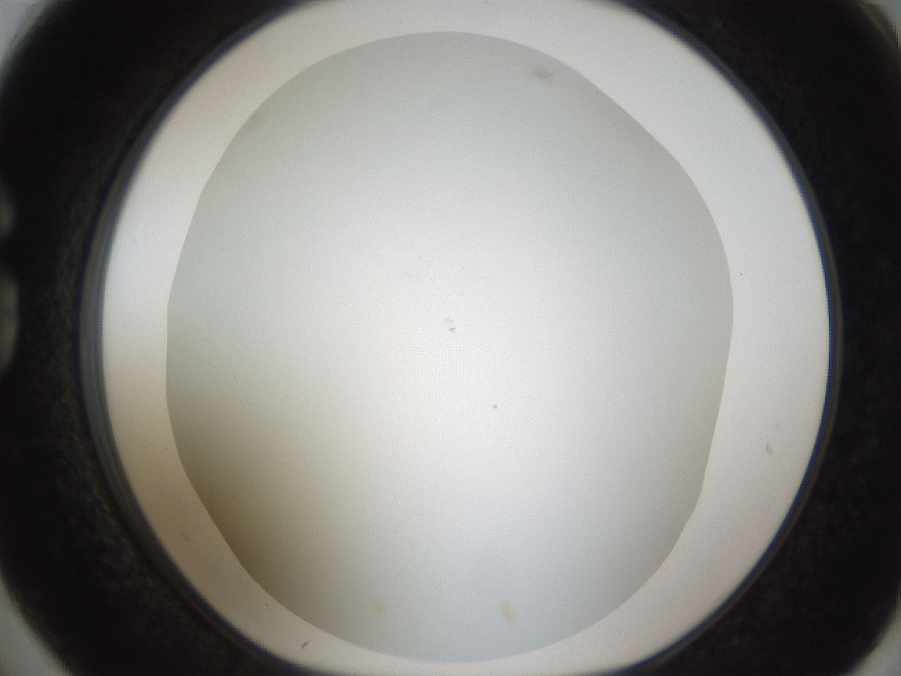 folderID213_plateID1213_batchID3692_wellNum74_profileID1_d1_r69106_ef.jpg