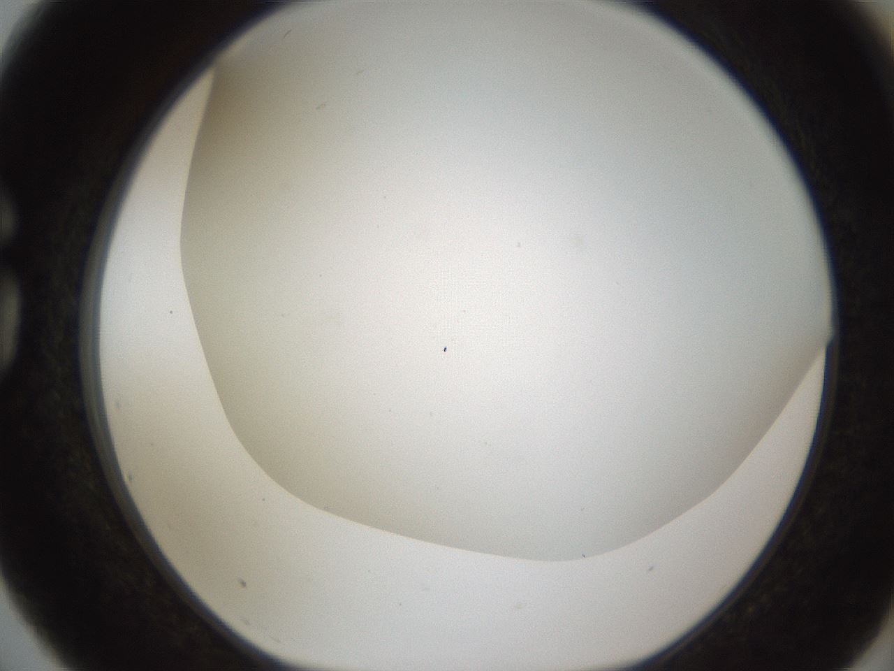 folderID213_plateID1213_batchID3692_wellNum75_profileID1_d1_r69108_ef.jpg