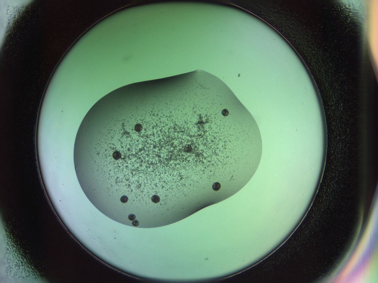 02g2_C1_ImagerDefaults_8.jpg