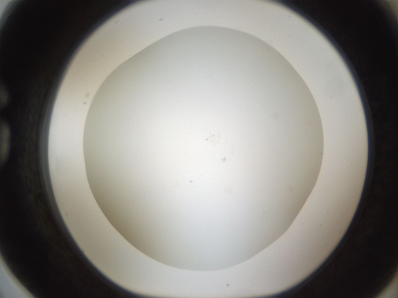 folderID213_plateID1213_batchID3692_wellNum78_profileID1_d1_r69114_ef.jpg