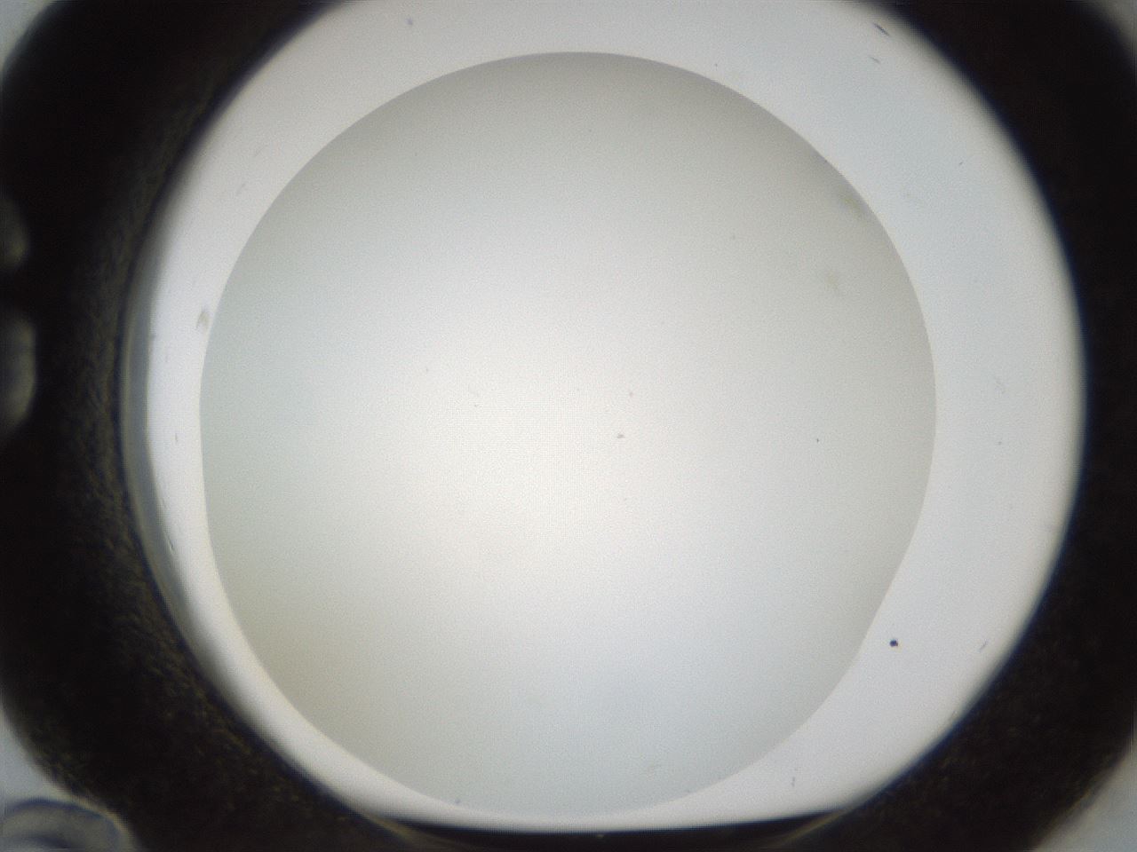 folderID213_plateID1213_batchID3692_wellNum84_profileID1_d1_r69126_ef.jpg