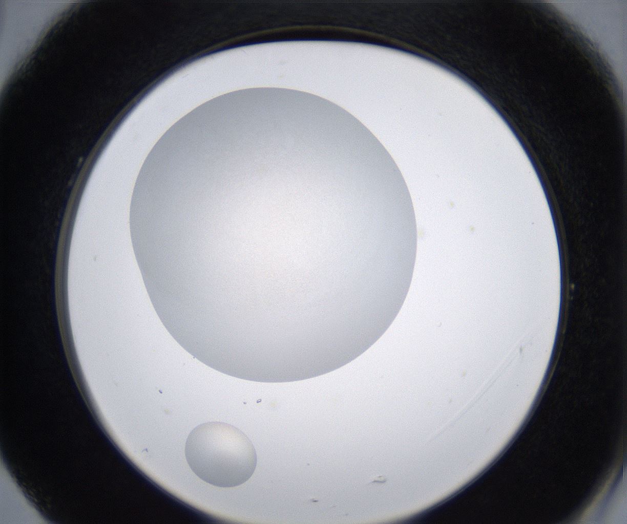 folderID213_plateID2213_batchID10048_wellNum77_profileID1_d2_r150672_ef.jpg