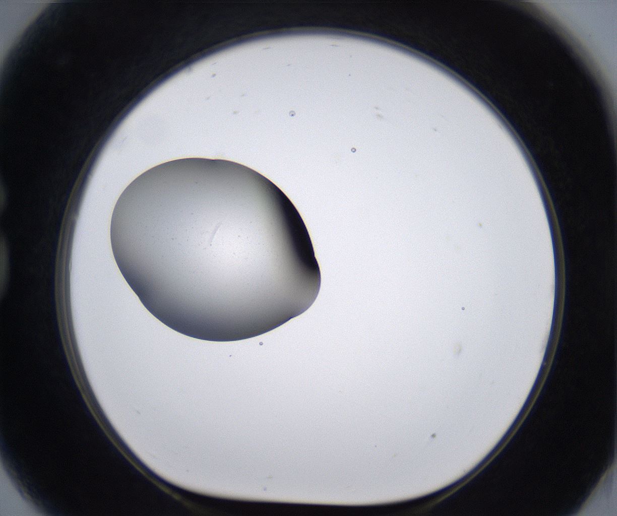 folderID213_plateID2213_batchID10048_wellNum81_profileID1_d1_r150679_ef.jpg