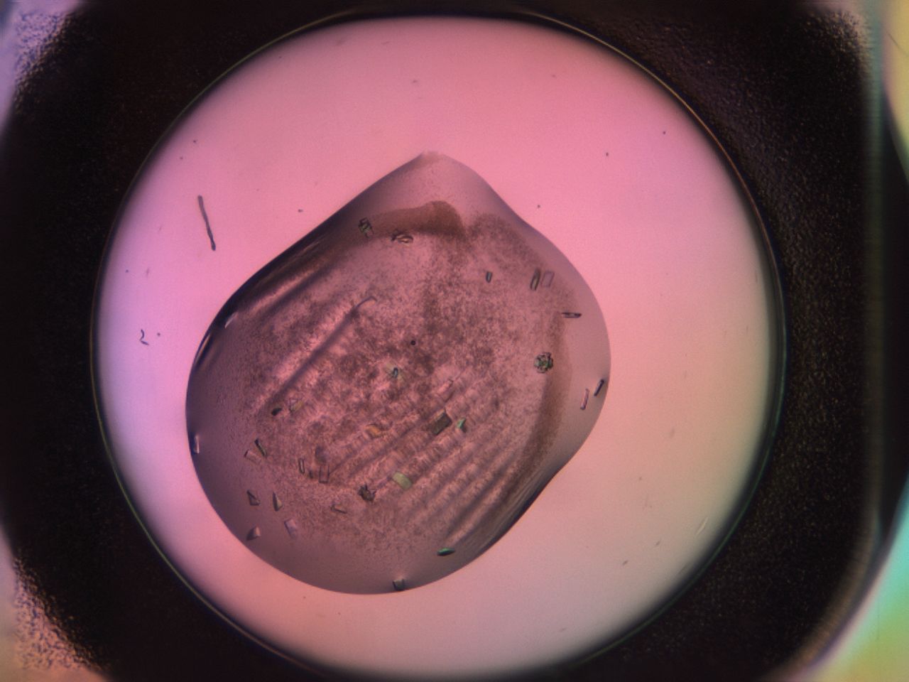 02g2_C5_ImagerDefaults_8.jpg