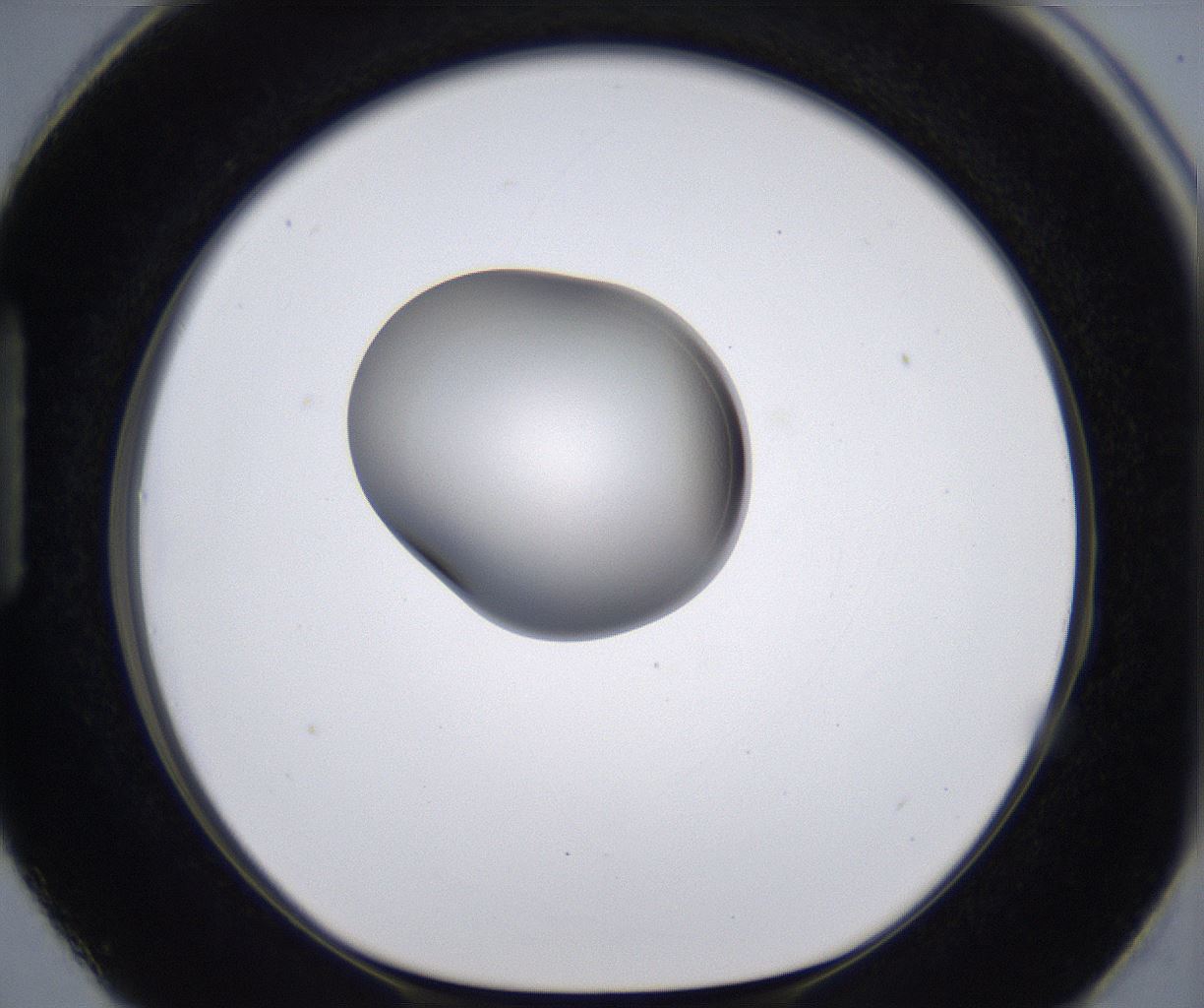 folderID213_plateID2213_batchID10048_wellNum87_profileID1_d1_r150691_ef.jpg