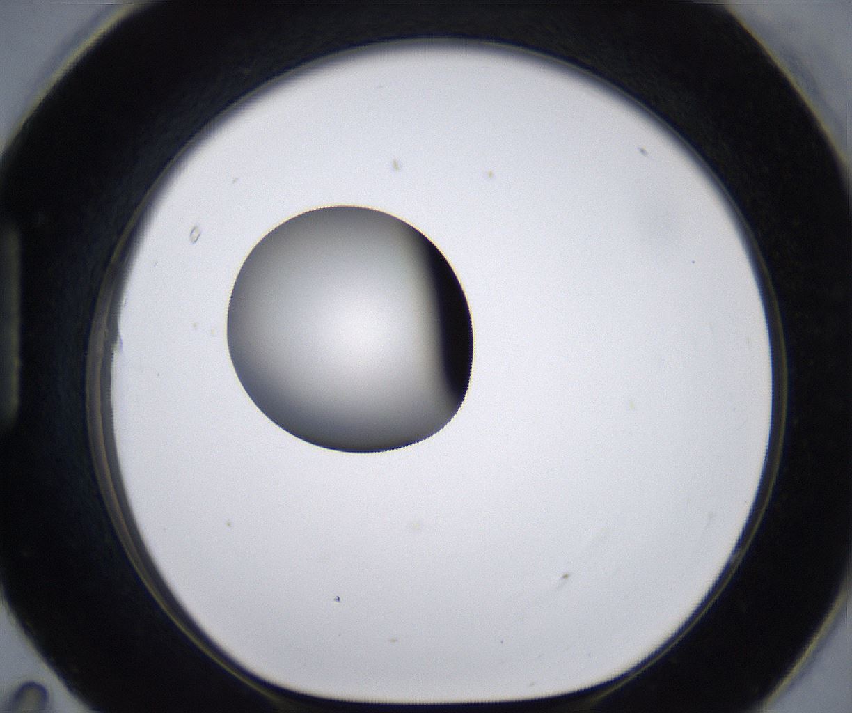 folderID213_plateID2213_batchID10048_wellNum95_profileID1_d1_r150707_ef.jpg
