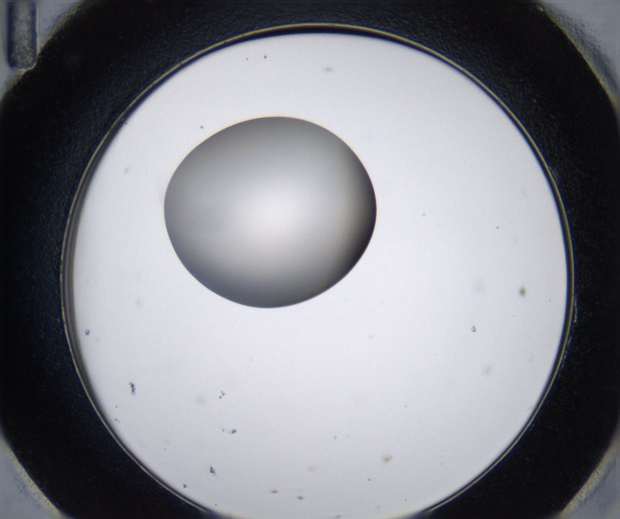 folderID213_plateID2213_batchID10048_wellNum95_profileID1_d2_r150708_ef.jpg