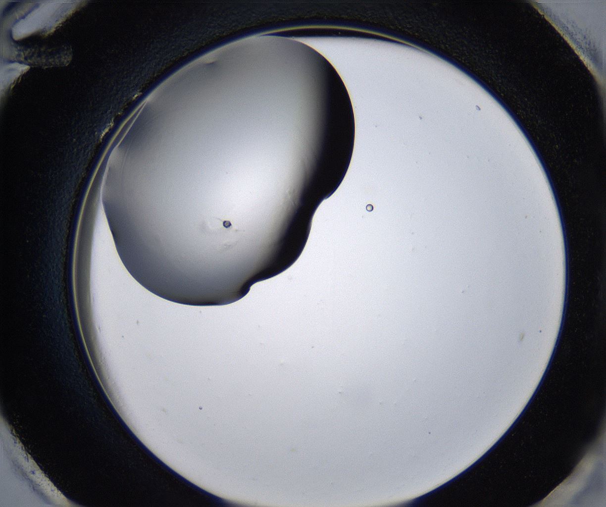 folderID213_plateID2213_batchID10048_wellNum96_profileID1_d2_r150710_ef.jpg