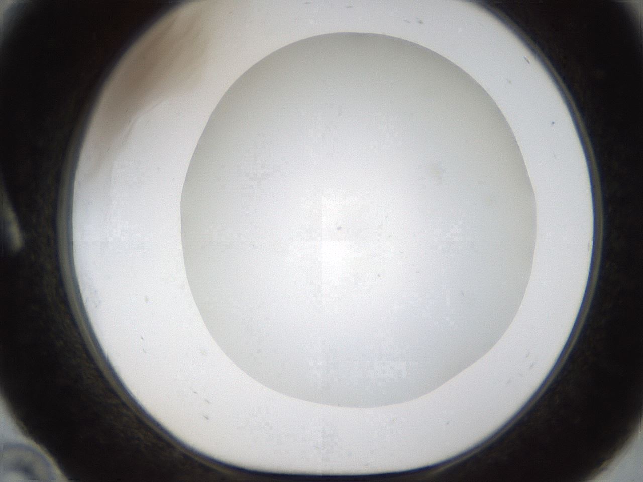folderID214_plateID1214_batchID3712_wellNum10_profileID1_d1_r69554_ef.jpg