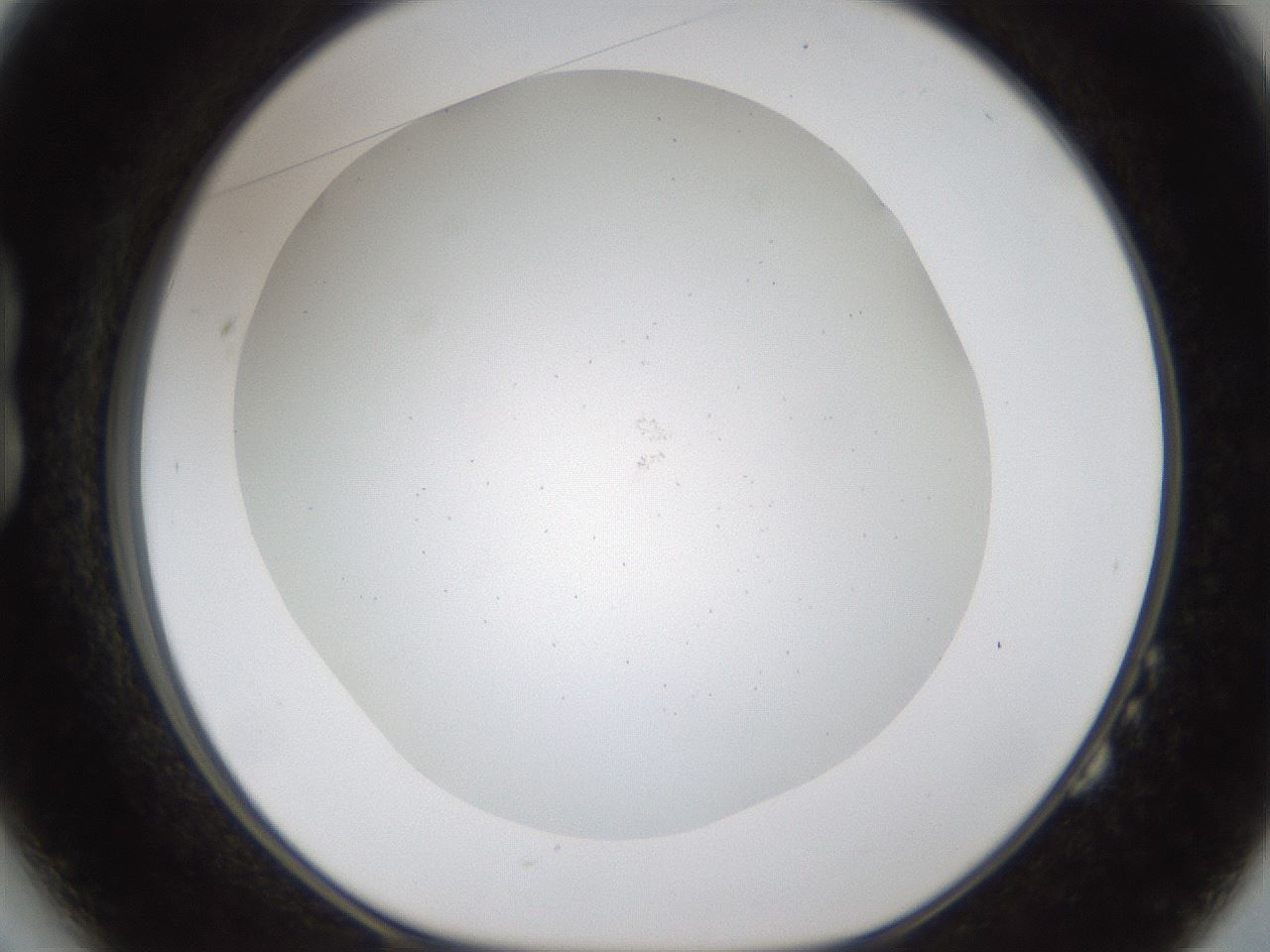 folderID214_plateID1214_batchID3712_wellNum14_profileID1_d1_r69562_ef.jpg