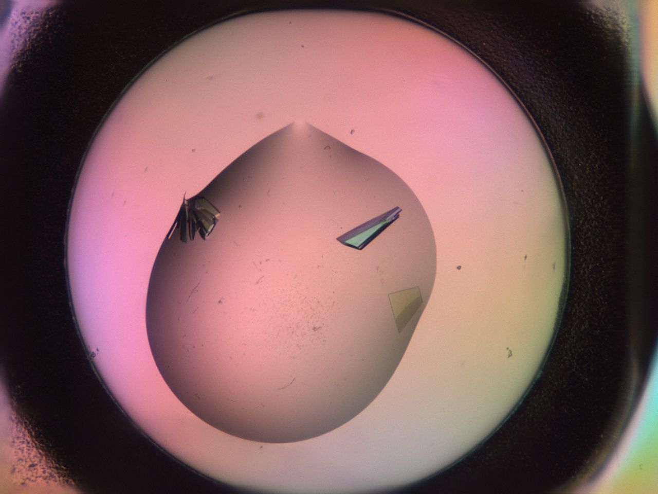02g2_C6_ImagerDefaults_9.jpg