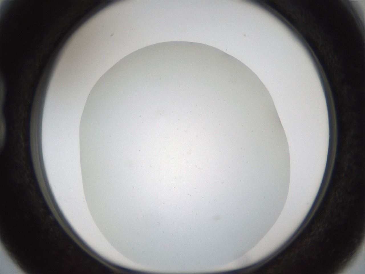 folderID214_plateID1214_batchID3712_wellNum15_profileID1_d1_r69564_ef.jpg