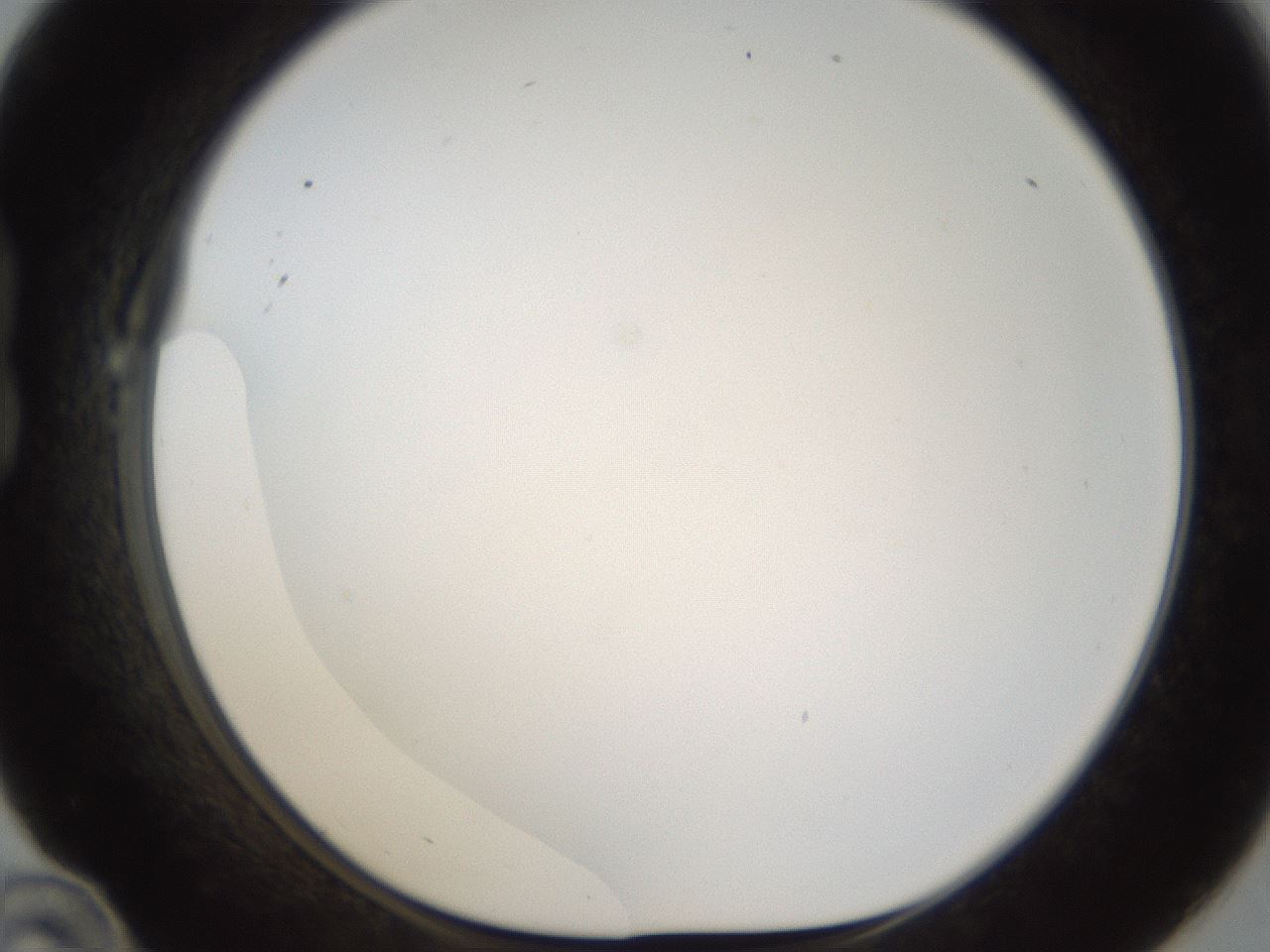 folderID214_plateID1214_batchID3712_wellNum22_profileID1_d1_r69578_ef.jpg