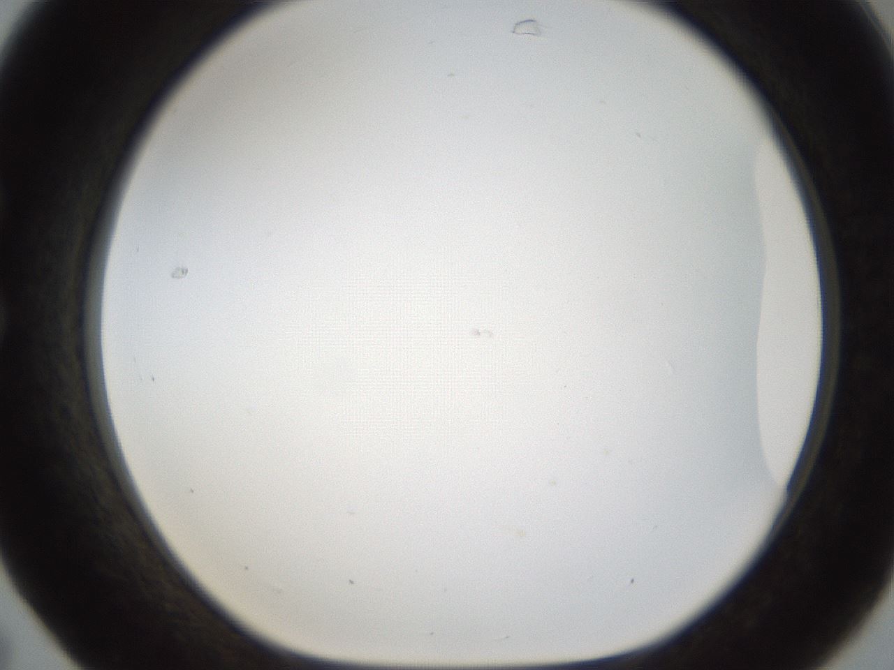 folderID214_plateID1214_batchID3712_wellNum31_profileID1_d1_r69596_ef.jpg