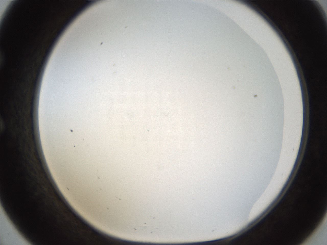 folderID214_plateID1214_batchID3712_wellNum57_profileID1_d1_r69648_ef.jpg