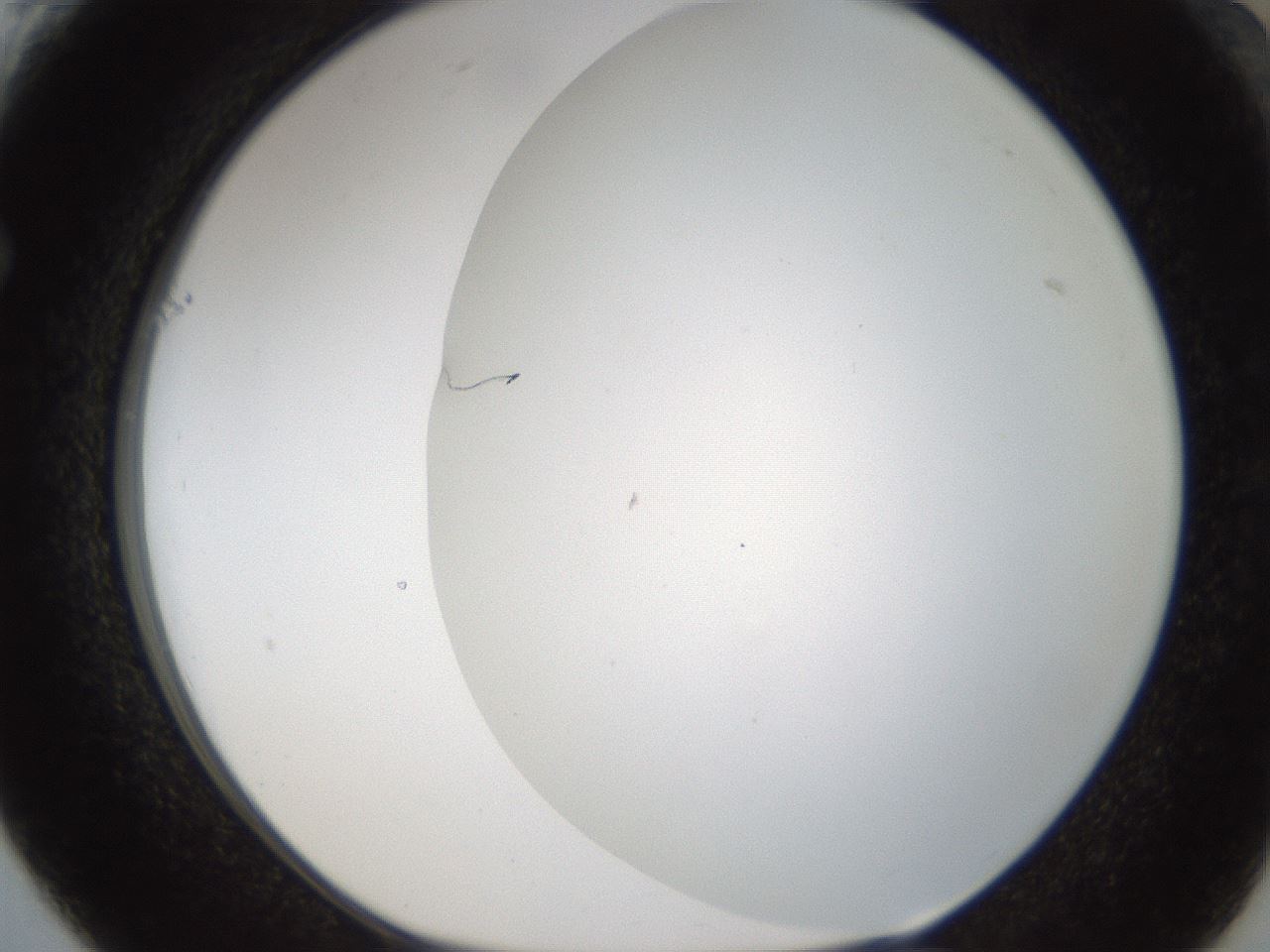 folderID214_plateID1214_batchID3712_wellNum61_profileID1_d1_r69656_ef.jpg
