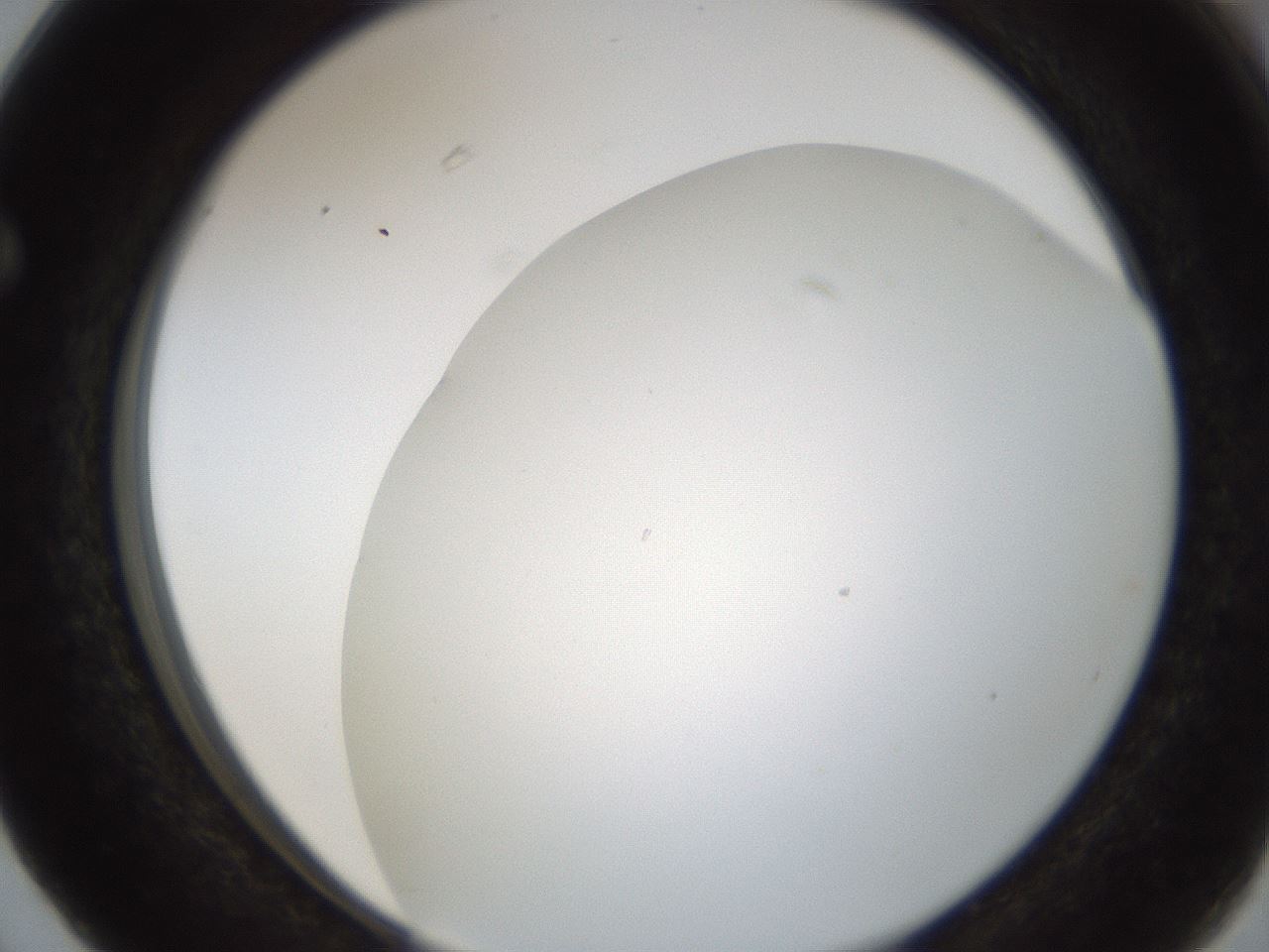 folderID214_plateID1214_batchID3712_wellNum63_profileID1_d1_r69660_ef.jpg