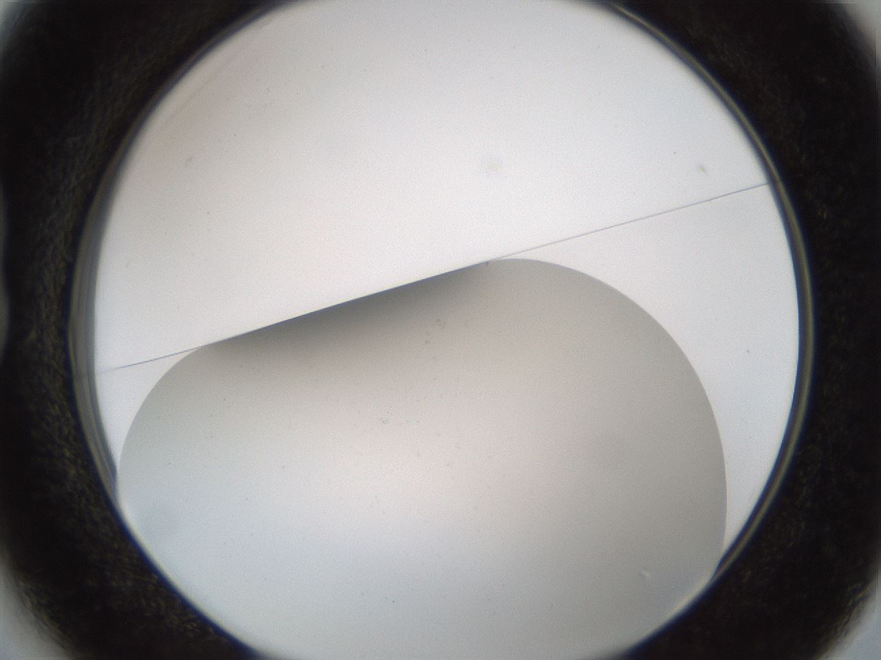 folderID214_plateID1214_batchID3712_wellNum13_profileID1_d1_r69560_ef.jpg