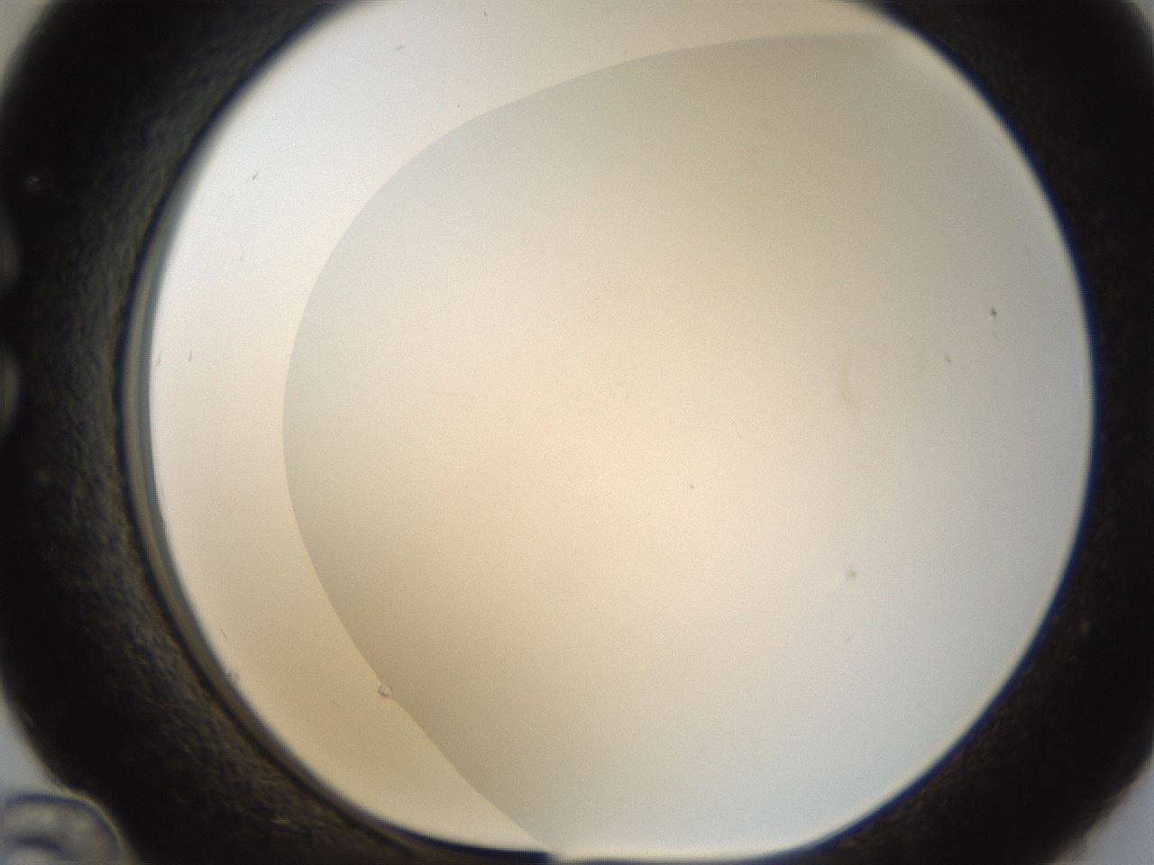 folderID214_plateID1214_batchID3712_wellNum36_profileID1_d1_r69606_ef.jpg