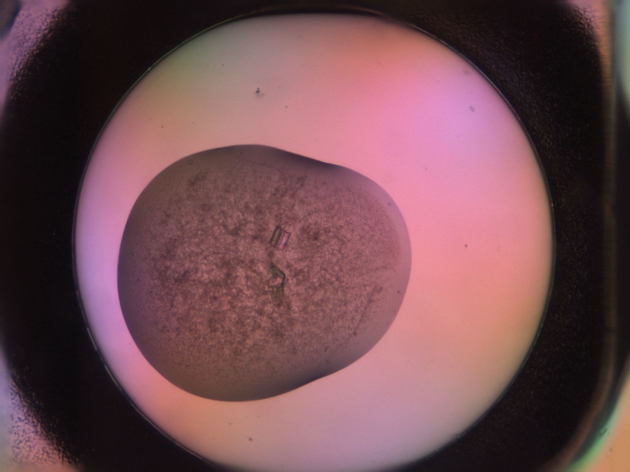 02g2_A5_ImagerDefaults_8.jpg
