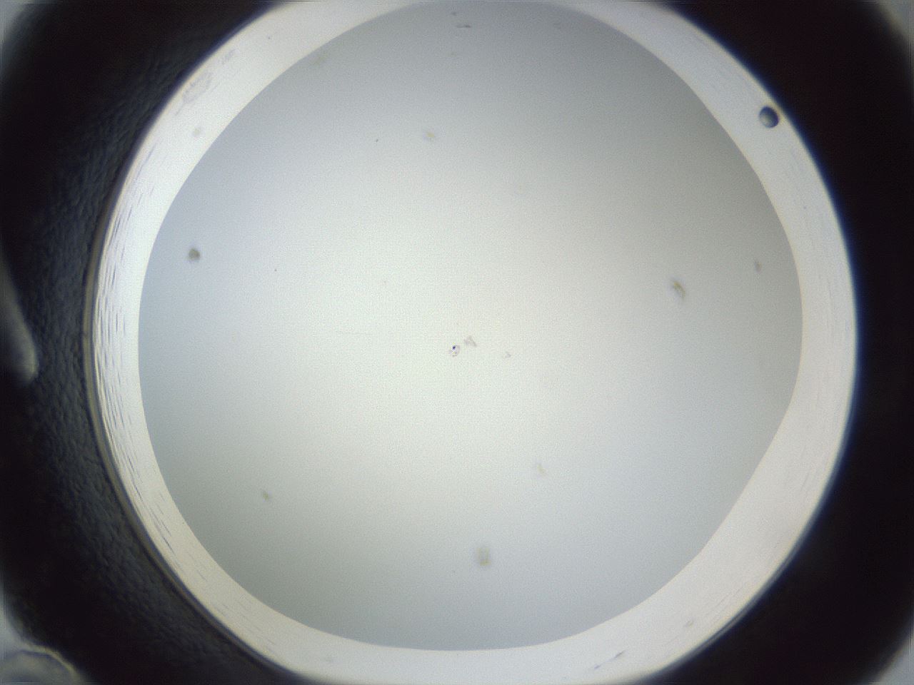 folderID215_plateID1215_batchID3653_wellNum12_profileID1_d1_r67158_ef.jpg