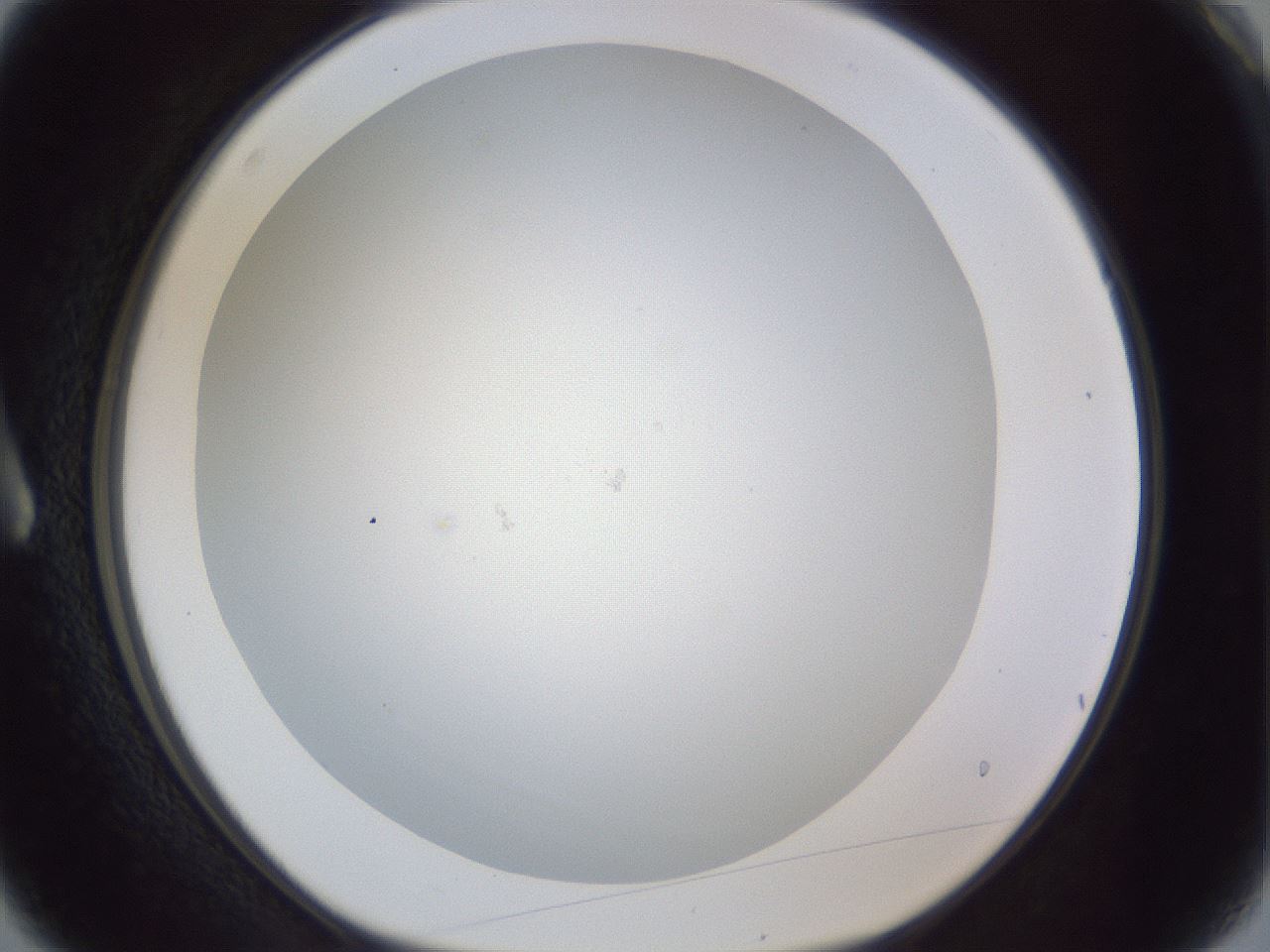 folderID215_plateID1215_batchID3653_wellNum3_profileID1_d1_r67140_ef.jpg