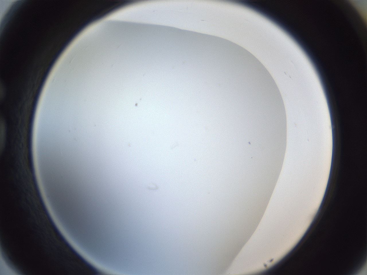 folderID215_plateID1215_batchID3653_wellNum77_profileID1_d1_r67288_ef.jpg