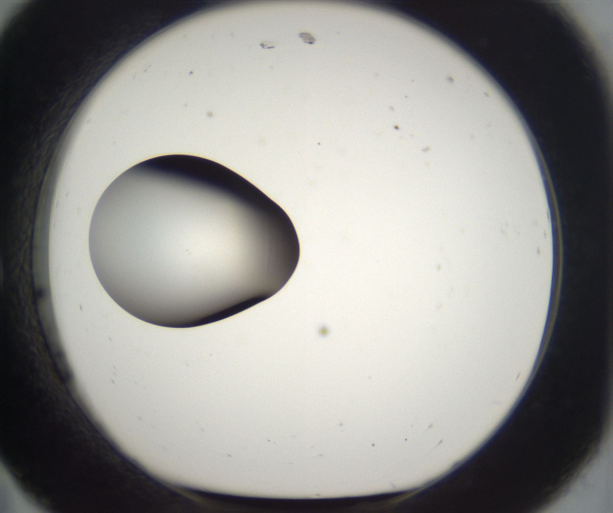 folderID214_plateID2214_batchID10055_wellNum11_profileID1_d1_r151691_ef.jpg