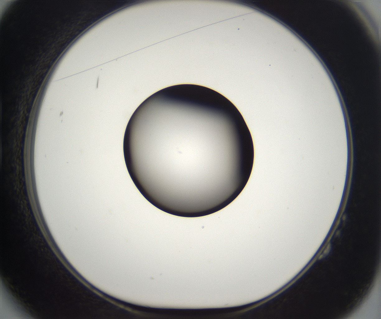 folderID214_plateID2214_batchID10055_wellNum14_profileID1_d1_r151697_ef.jpg
