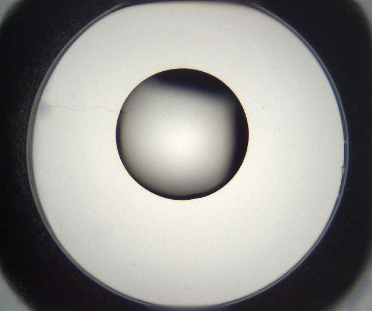 folderID214_plateID2214_batchID10055_wellNum14_profileID1_d2_r151698_ef.jpg
