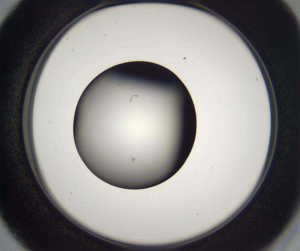 folderID214_plateID2214_batchID10055_wellNum16_profileID1_d2_r151702_ef.jpg