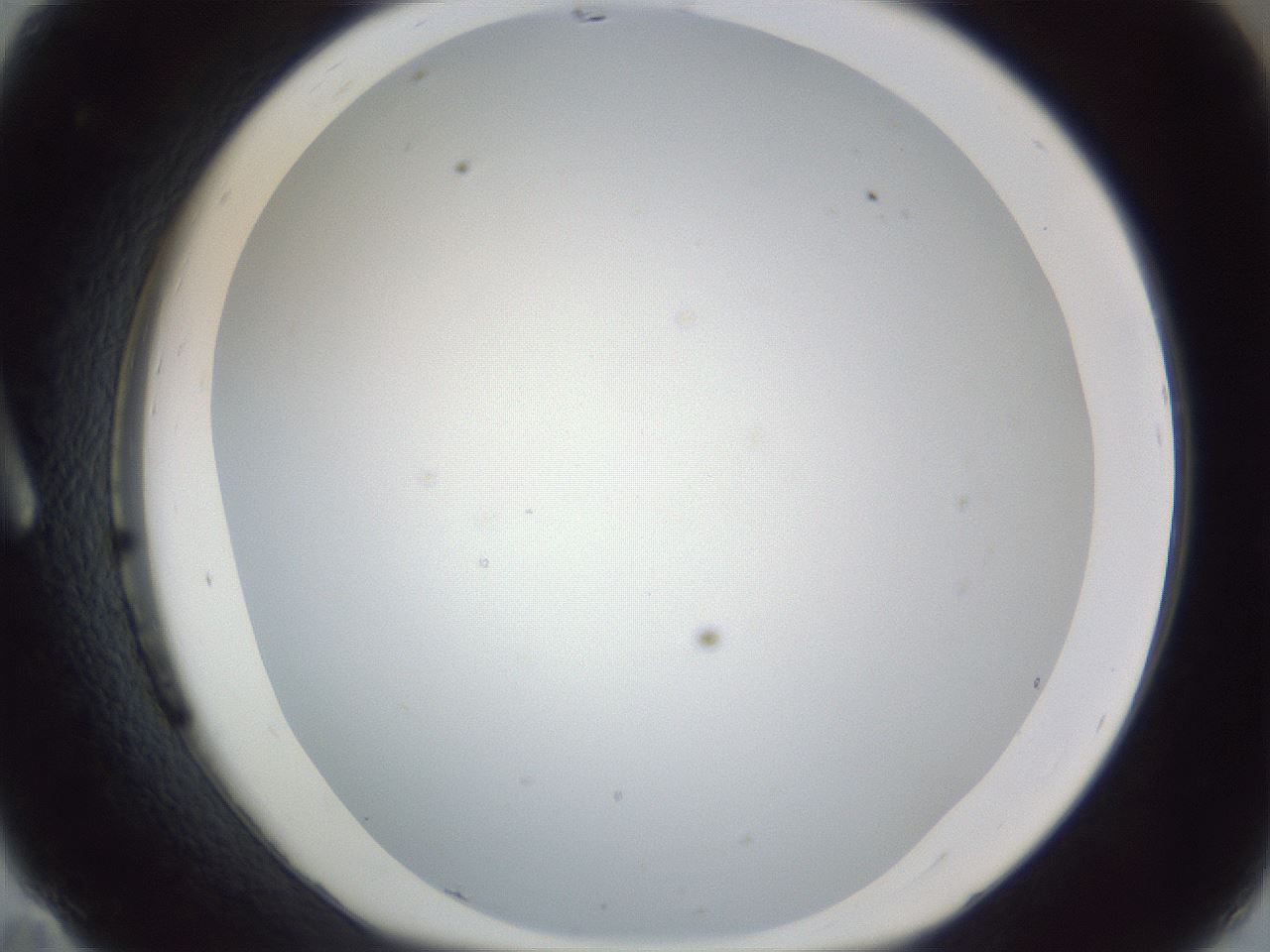 folderID215_plateID1215_batchID3653_wellNum11_profileID1_d1_r67156_ef.jpg