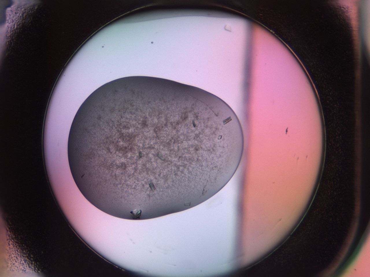 02g2_A4_ImagerDefaults_8.jpg