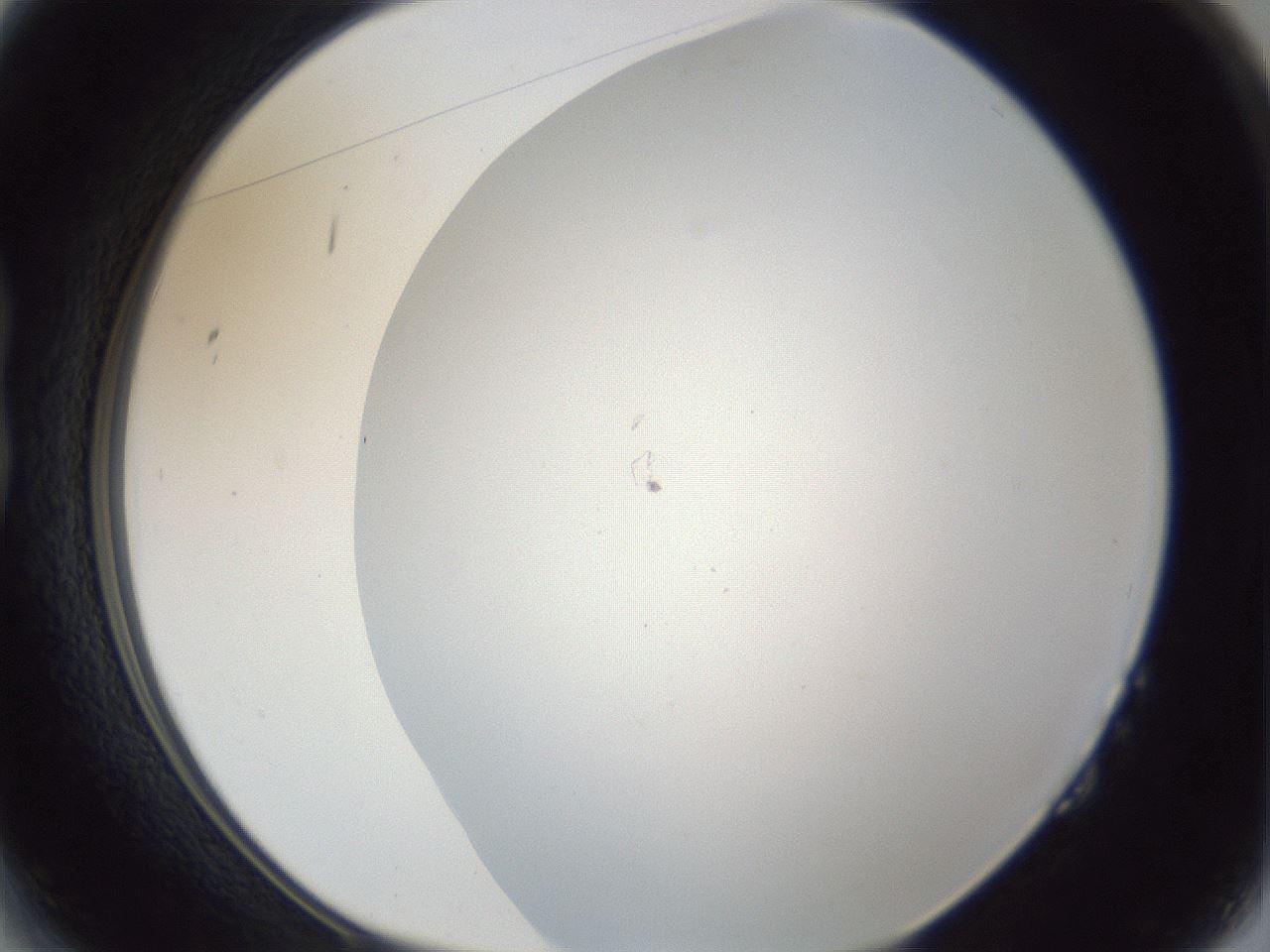 folderID215_plateID1215_batchID3653_wellNum14_profileID1_d1_r67162_ef.jpg
