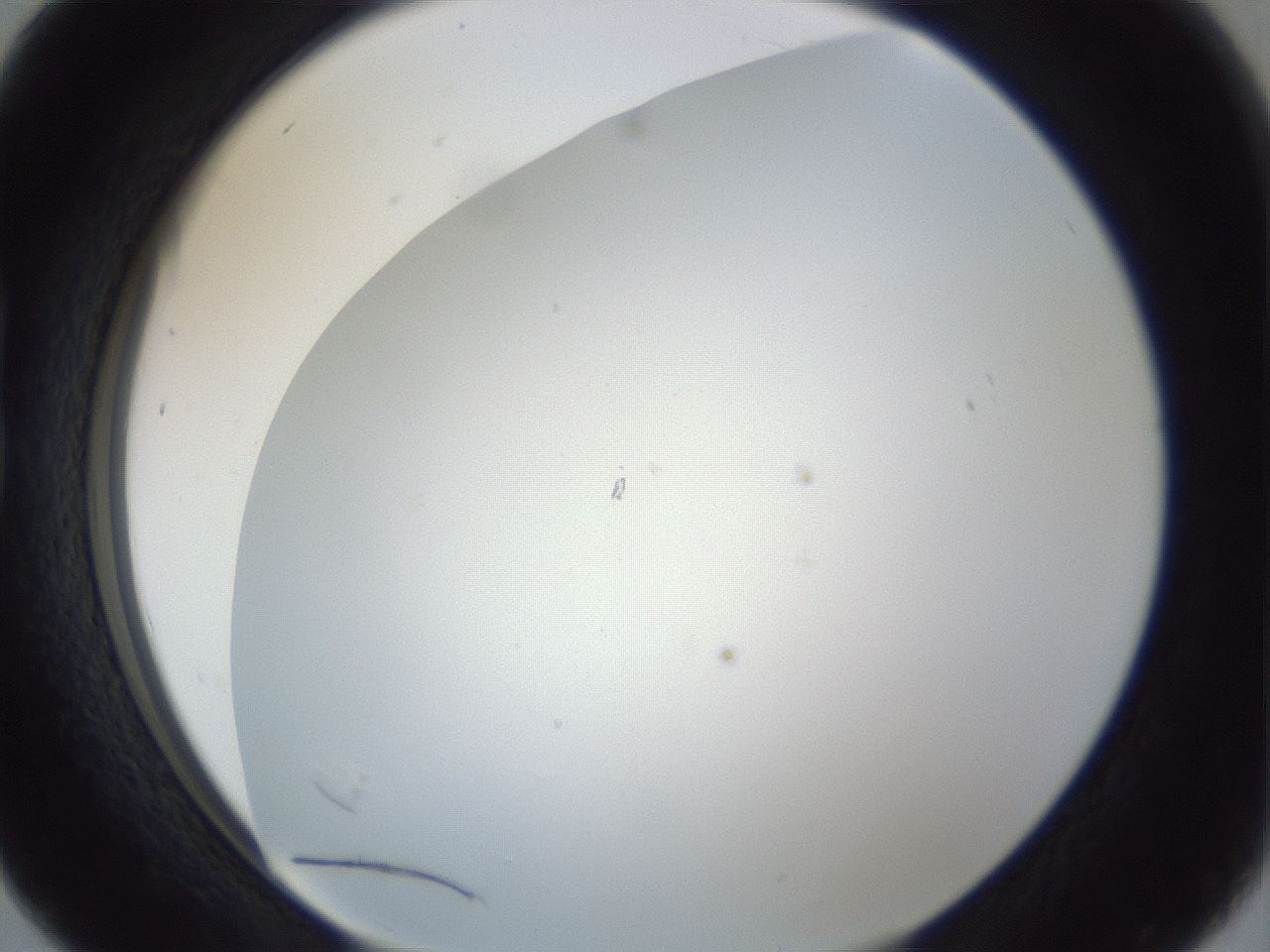 folderID215_plateID1215_batchID3653_wellNum16_profileID1_d1_r67166_ef.jpg