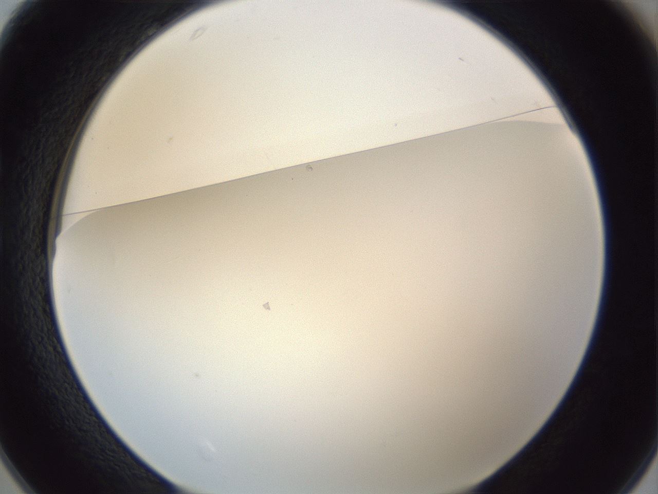 folderID215_plateID1215_batchID3653_wellNum25_profileID1_d1_r67184_ef.jpg