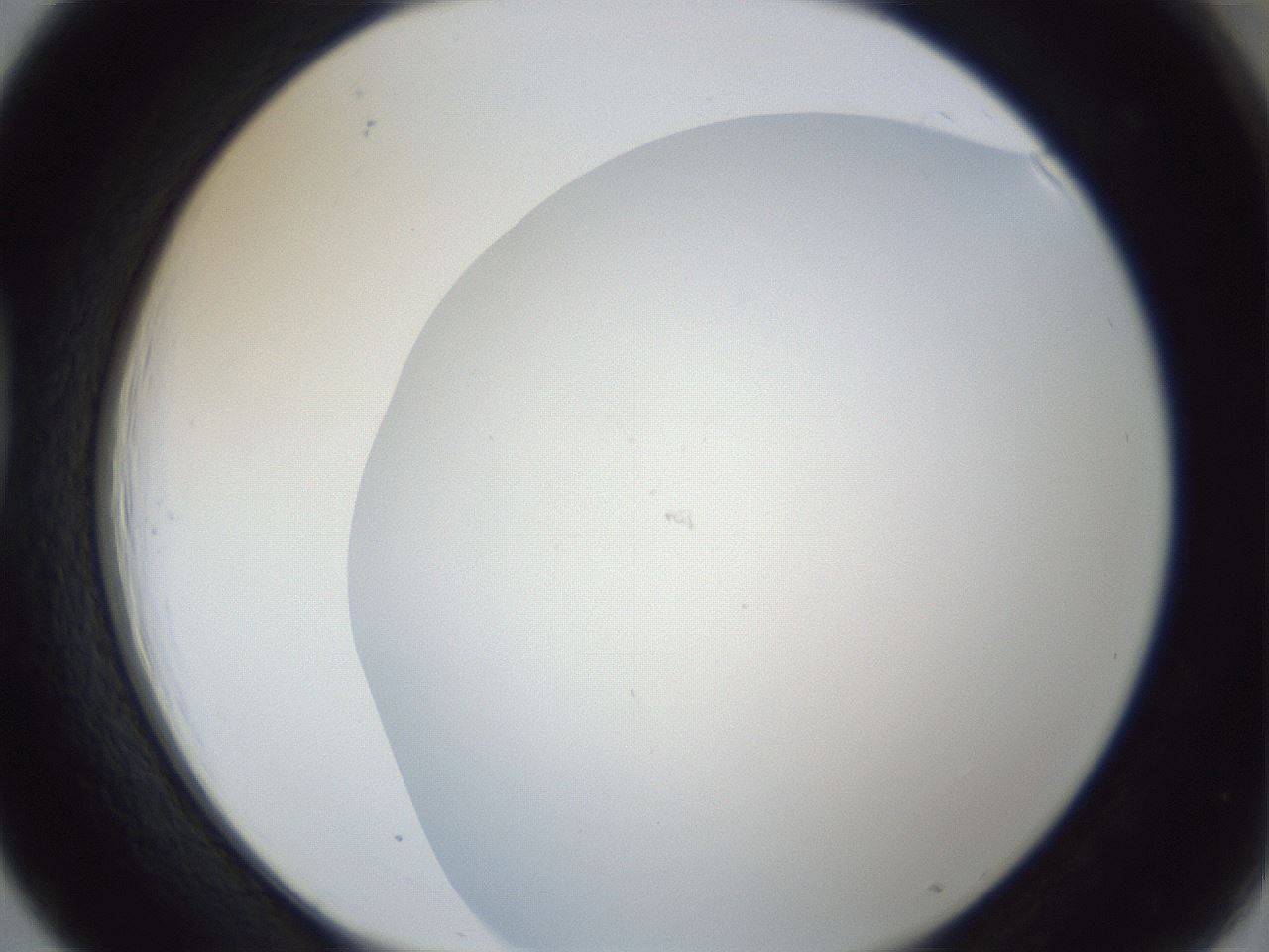 folderID215_plateID1215_batchID3653_wellNum39_profileID1_d1_r67212_ef.jpg