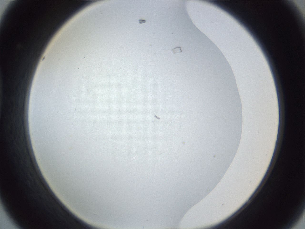 folderID215_plateID1215_batchID3653_wellNum44_profileID1_d1_r67222_ef.jpg