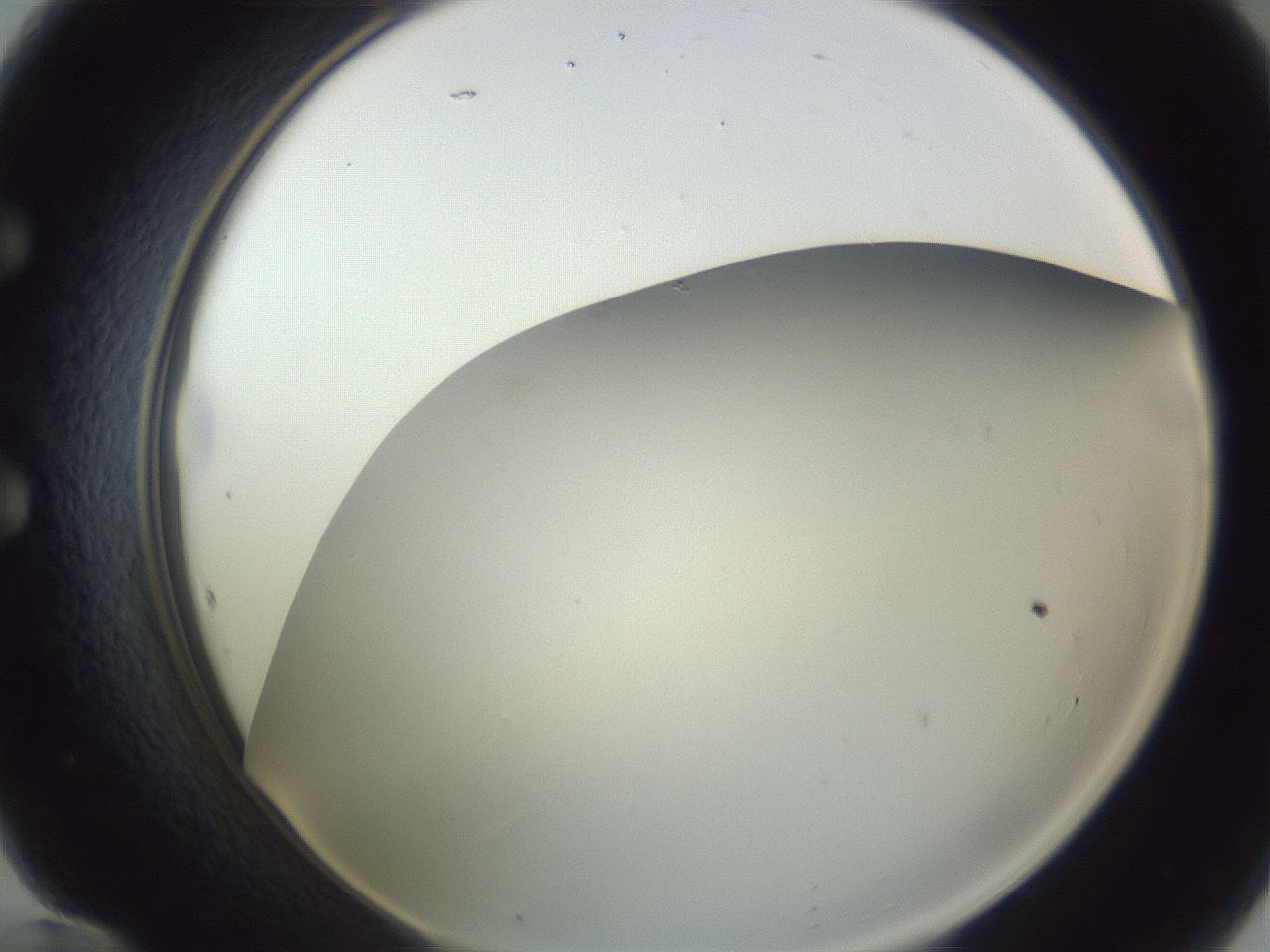 folderID215_plateID1215_batchID3653_wellNum60_profileID1_d1_r67254_ef.jpg
