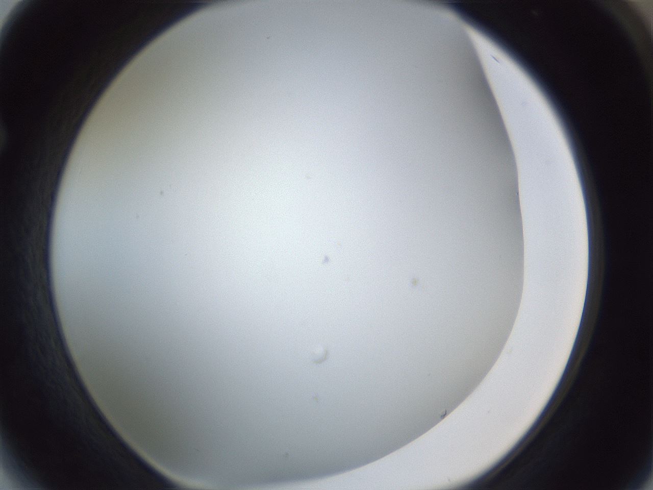 folderID215_plateID1215_batchID3653_wellNum64_profileID1_d1_r67262_ef.jpg