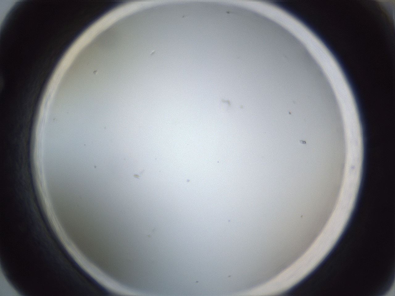 folderID215_plateID1215_batchID3653_wellNum65_profileID1_d1_r67264_ef.jpg