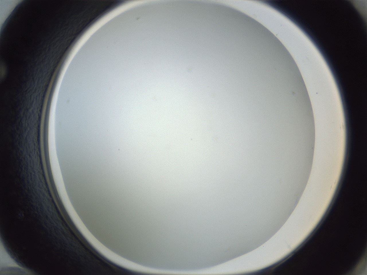 folderID215_plateID1215_batchID3653_wellNum72_profileID1_d1_r67278_ef.jpg