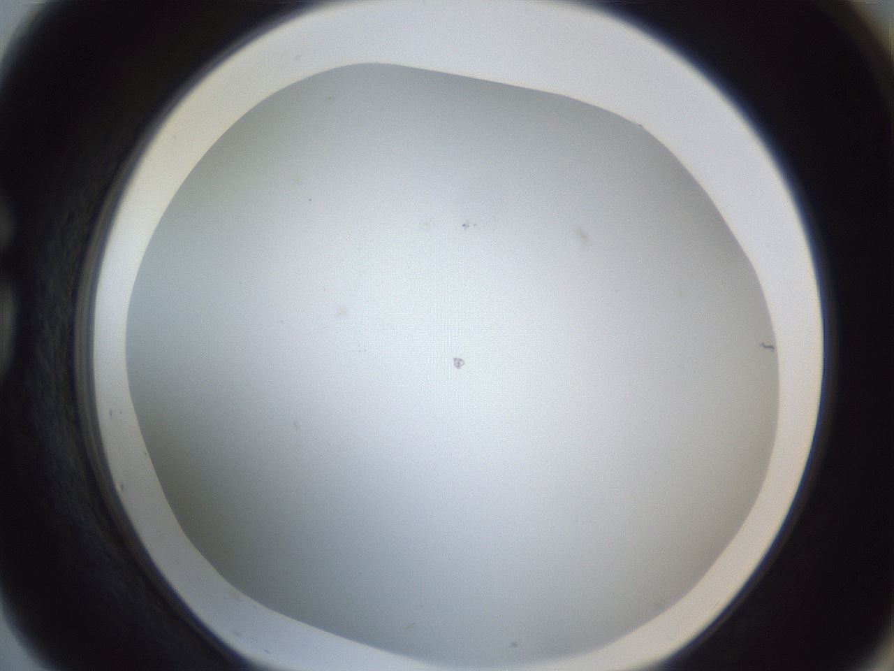folderID215_plateID1215_batchID3653_wellNum75_profileID1_d1_r67284_ef.jpg