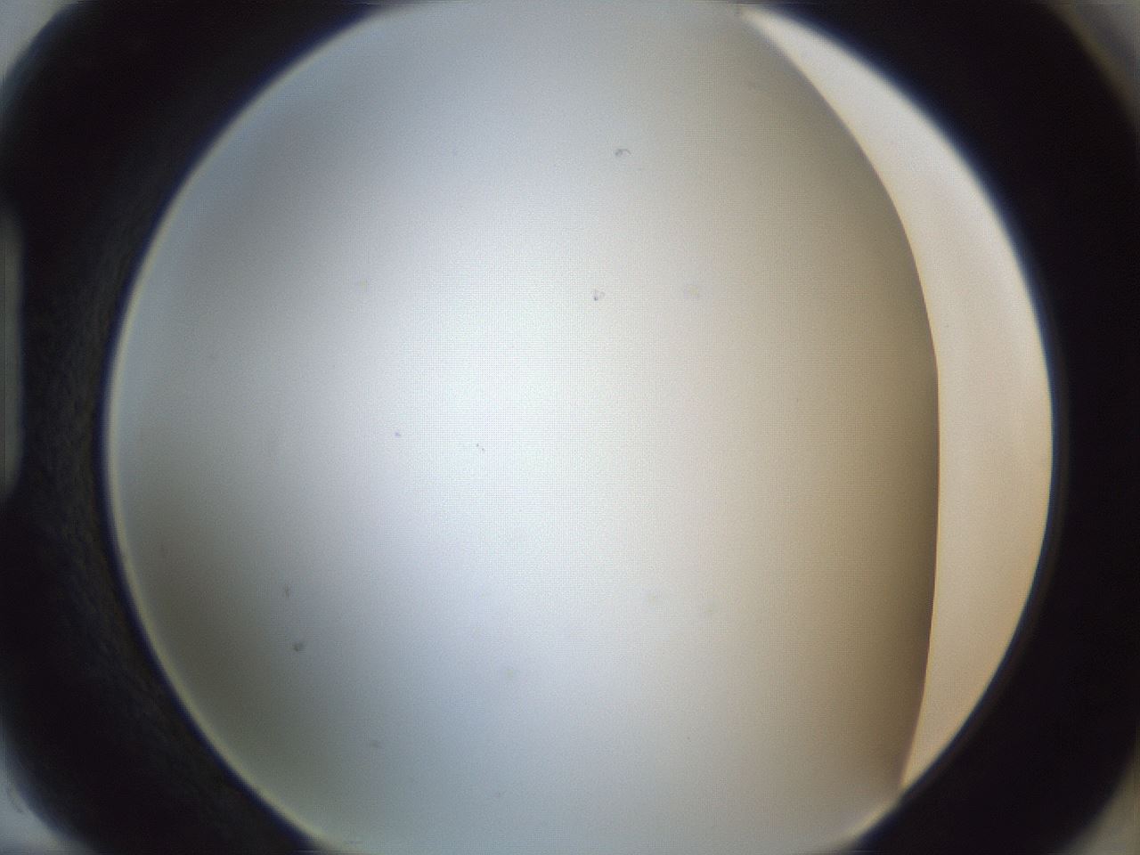 folderID215_plateID1215_batchID3653_wellNum94_profileID1_d1_r67322_ef.jpg