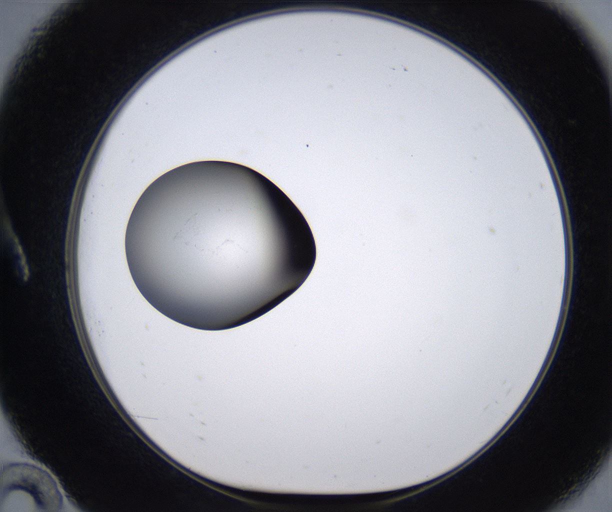 folderID215_plateID2215_batchID10049_wellNum10_profileID1_d1_r150729_ef.jpg