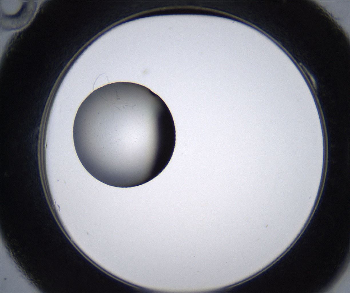 folderID215_plateID2215_batchID10049_wellNum10_profileID1_d2_r150730_ef.jpg